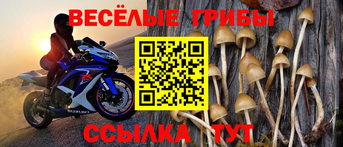Фрязино  Галлюциногенные грибы ЛСД  купить закладку  Вход с VPN 