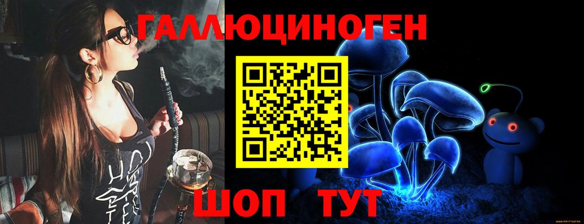 Галлюциногенные грибы Psilocybe Фрязино